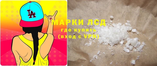 индика Беломорск