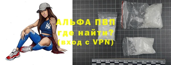 индика Беломорск