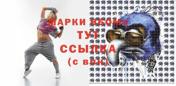 индика Беломорск