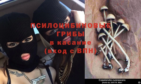 каннабис Баксан